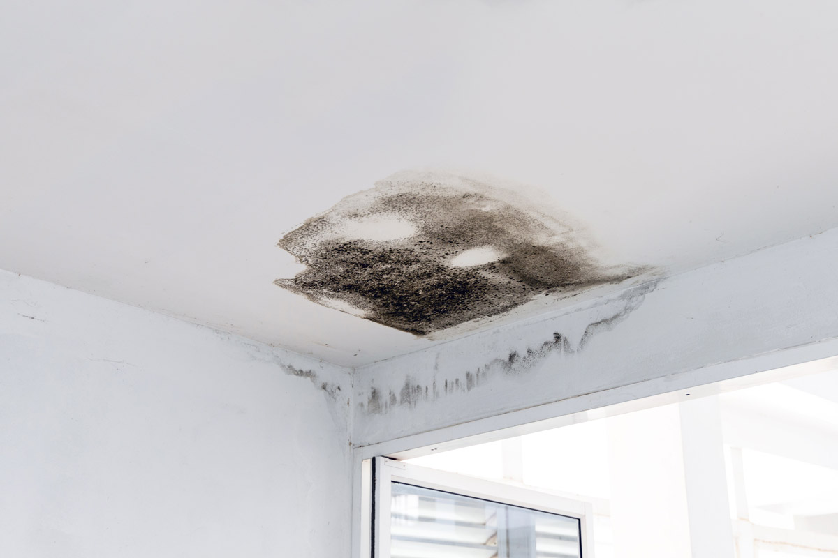 Signs That Your Roof Is Leaking