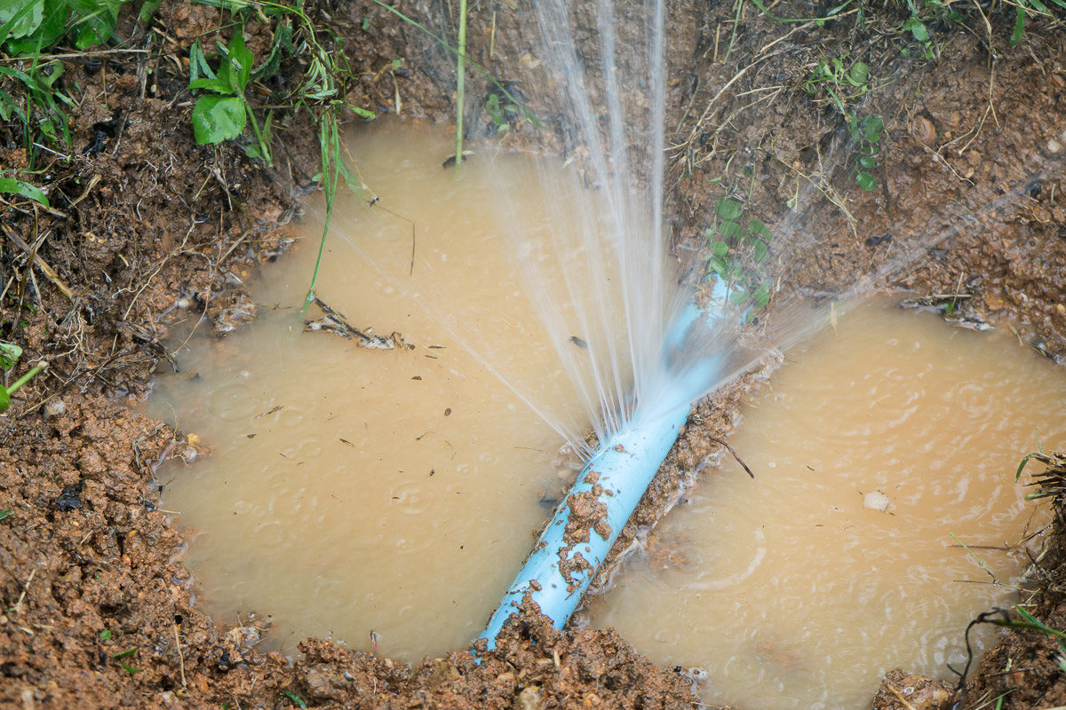 The Environmental Impact of Water Leaks