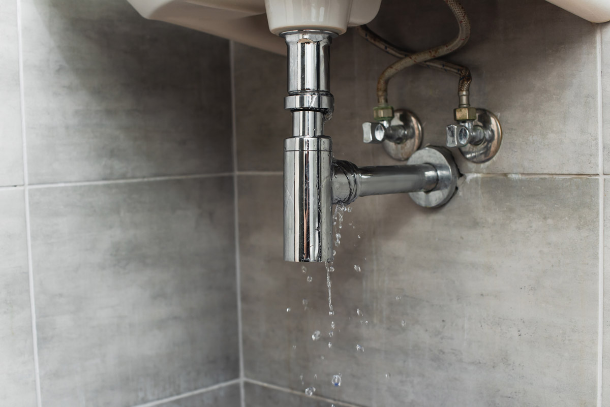 The Usual Suspects: The Most Common Places to Look for Leaks