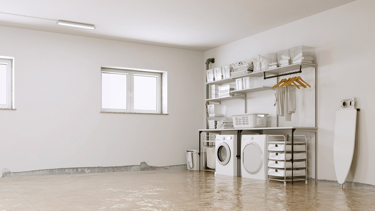 What Are the Main Steps in Flood Restoration?