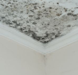 Can a Wet Ceiling Be Repaired?