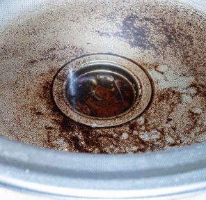 How to Spot a Hidden Sewer Backup Before It Becomes a Disaster