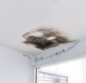 Signs That Your Roof Is Leaking