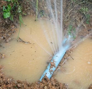 The Environmental Impact of Water Leaks